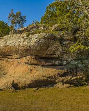 Bartolome Hidalgo Park, Soriano Departmanı, Uruguay 'daki güneşli bir manzara.