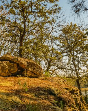 Bartolome Hidalgo Parkı 'ndaki güneşli gün manzarası Flores Bölümü, Uruguay