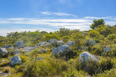 Sierra de las animasyon dağ sırası, maldonado, uruguay kırsal arazisi