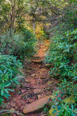 Sierra de las animasyon dağ sırası, maldonado, uruguay kırsal arazisi