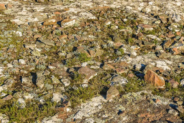 Landsbygdslandskap Vid Sierra Las Animas Bergskedja Maldonado Uruguay — Stockfoto