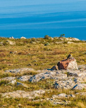Sierra de las animasyon dağ sırası, maldonado, uruguay kırsal arazisi