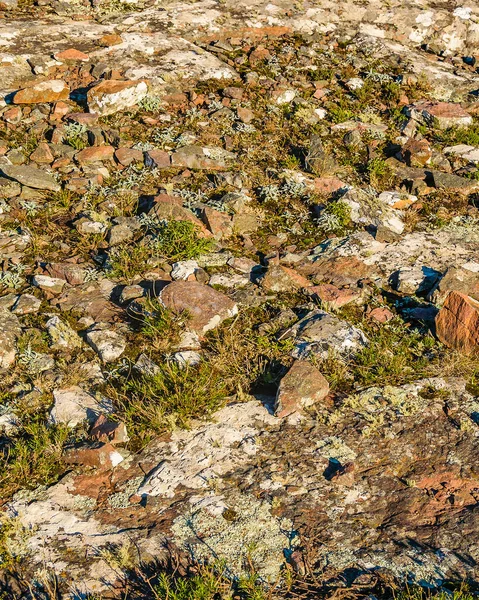 Krajina Pohoří Sierra Las Animas Maldonado Uruguay — Stock fotografie