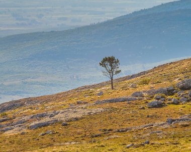Sierra de las animasyon dağ sırası, maldonado, uruguay kırsal arazisi