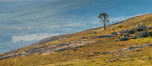 Landelijk Landschap Bij Sierra Las Animas Bergketen Maldonado Uruguay — Stockfoto