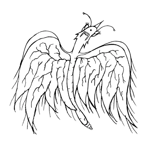 Preto Branco Linear Arte Dragão Voando Ilustração — Fotografia de Stock