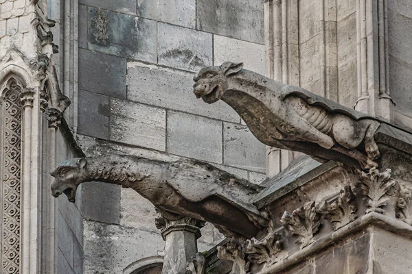 Скульптуры Горгулий Церкви Нотр Дам Париже Франции — стоковое фото