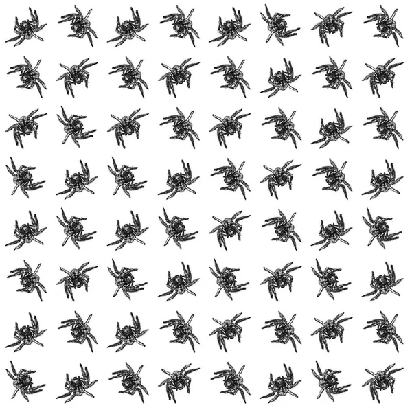 Big Spider Motif Black White Pattern — Stock Fotó