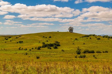 Meadow countryside landscape environment, maldonado, uruguay