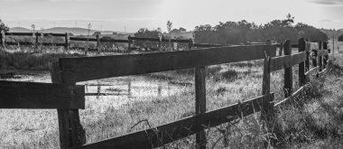 Artificial lake at countryside environment, maldonado, uruguay