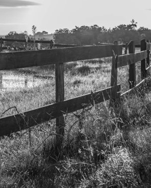 Artificial lake at countryside environment, maldonado, uruguay
