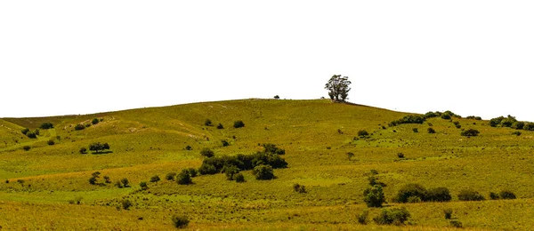 Meadow Countryside Landscape Environment Isolated Sky Photo — Fotografia de Stock