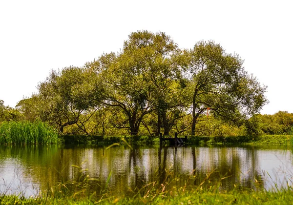 Artificial Lake Countryside Environment Isolated Photo — 스톡 사진