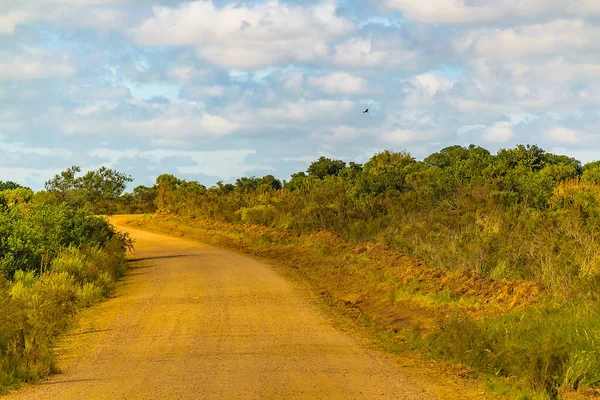 Грязная Дорога Загородном Ландшафте Мальдонадо Уругуэй — стоковое фото