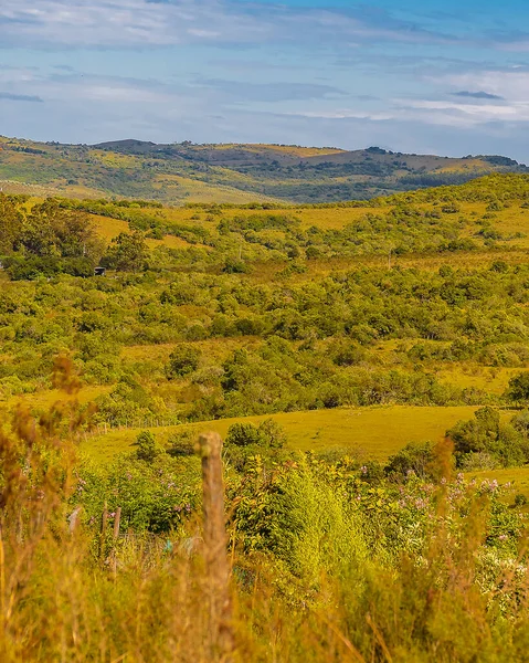 Meadow Countryside Landscape Environment Maldonado Uruguay — Stock Photo, Image