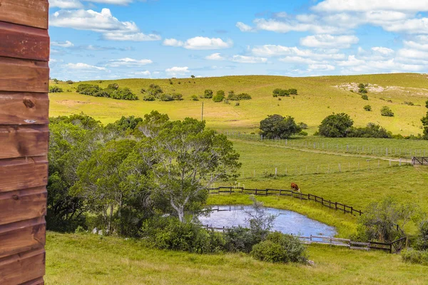 Countryside Landscape Environment Maldonado Uruguay — Stockfoto