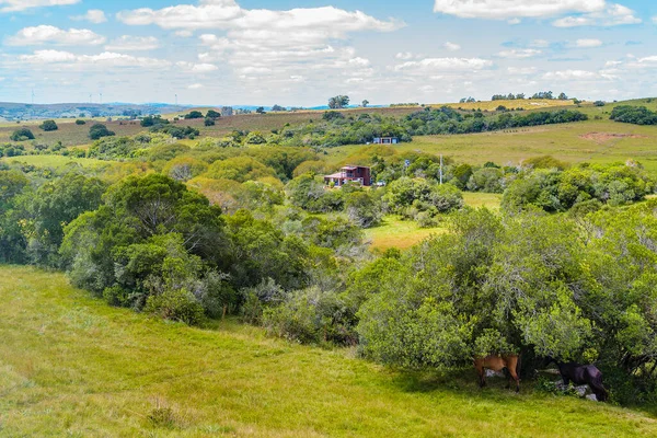 Rustic Modern Style House Countryside Environment Maldonado Uruguay — Stok fotoğraf