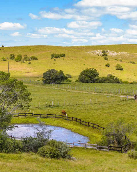 Countryside Landscape Environment Maldonado Uruguay — Stok fotoğraf