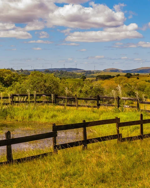 Meadow Countryside Landscape Environment Maldonado Uruguay —  Fotos de Stock