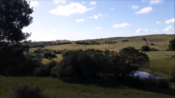 Meadow Countryside Landscape Environment Maldonado Uruguay — Vídeo de Stock