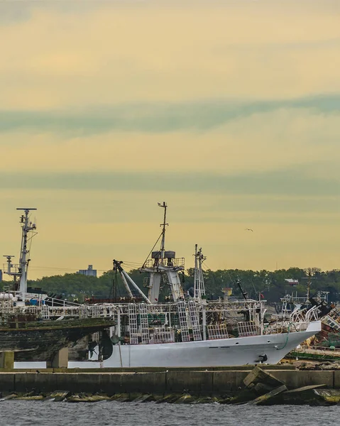 Gemiler Montevideo Uruguay Limanına Park Edilmiş — Stok fotoğraf