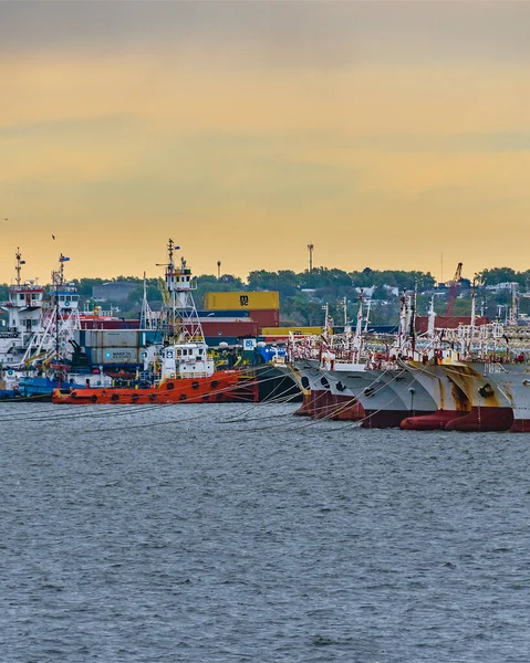 Navios Estacionados Porto Cidade Montevideo Uruguai — Fotografia de Stock