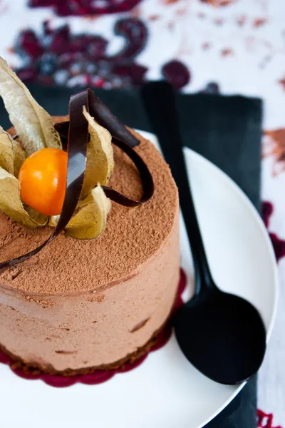 Bolo de queijo com chocolate — Fotografia de Stock