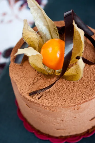 巧克力芝士蛋糕 — 图库照片