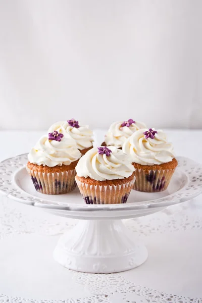 Cupcake ai mirtilli — Foto Stock