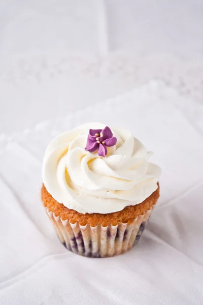 Cupcake ai mirtilli — Foto Stock