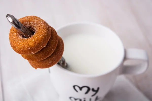 Donuts de abóbora Fotografias De Stock Royalty-Free