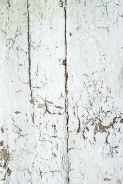 Doğal desenli beyaz ahşap doku