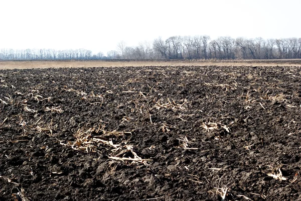 Nieuw geploegd veld klaar voor nieuwe gewassen — Stockfoto