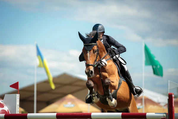 Sporty konne i jeździectwo — Zdjęcie stockowe