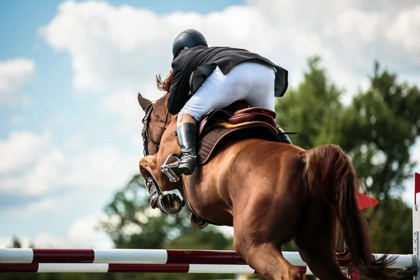 Esportes equestres — Fotografia de Stock