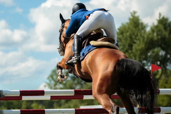 Esportes equestres Fotografias De Stock Royalty-Free