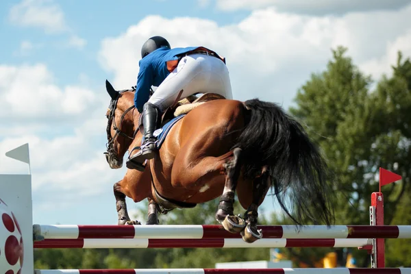 Esportes equestres Imagem De Stock