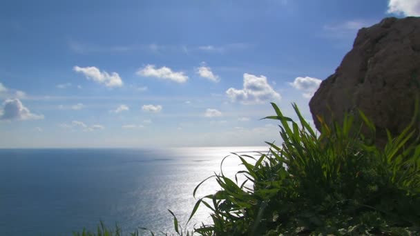 Seascape with green grass and mountains. — Stock Video