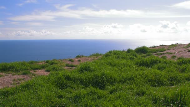 Orilla con hierba verde contra el mar . — Vídeo de stock