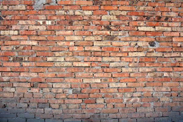 Brick wall as background. — Stock Photo, Image
