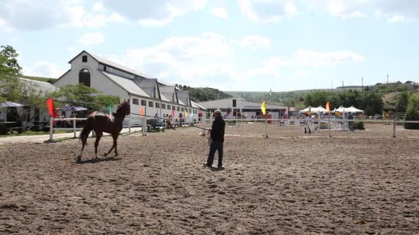 A lovak képzését — Stock videók