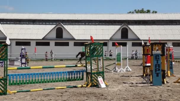 Passeios a cavalo. — Vídeo de Stock