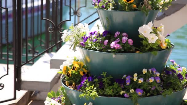 Florero con flores — Vídeo de stock