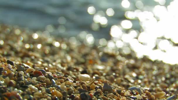 Playa con guijarros . — Vídeo de stock