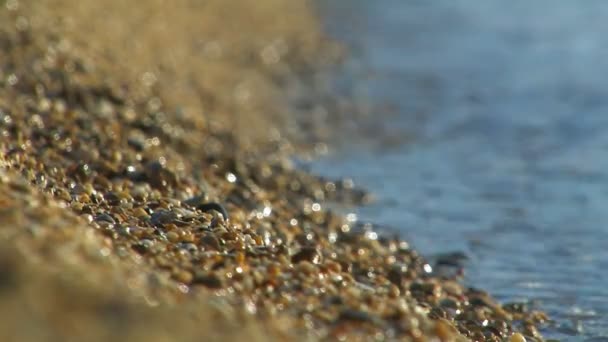 Strand med småsten. — Stockvideo