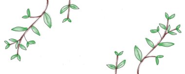 Yaprak yeşil arkaplan bırakır. Taze yeşil yaprak