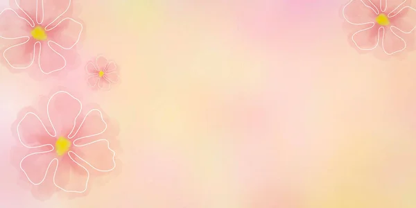 Pink Background Flower Pink Floral Love Background — Stock Photo, Image