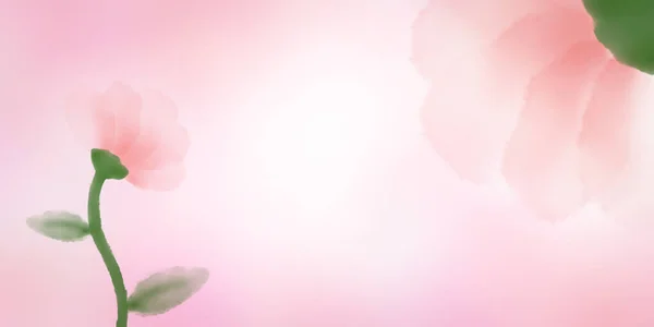 Розовый Фон Цветок Розовый Цветок Фоне Любви — стоковое фото
