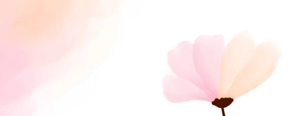 Розовый Фон Цветок Розовый Цветок Фоне Любви — стоковое фото