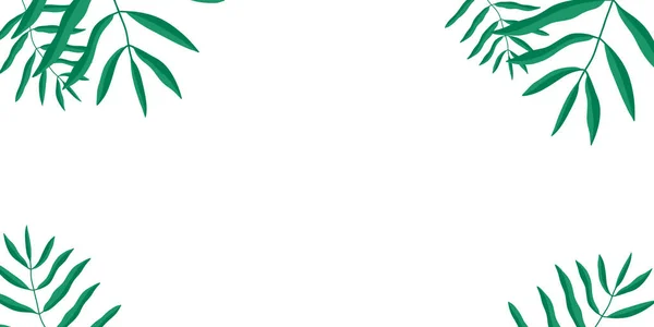 Фоновый Рисунок Пальмового Листа — стоковое фото